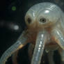 Cave Creature +AI+