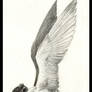 Angel 04