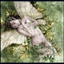 Fairy 01