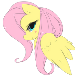 Fluttershy Sketch