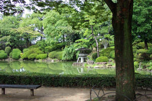 Japan Scenery 7