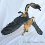 Bearded Vulture Hippogryph