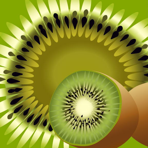 Kiwi Vector