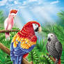 Parrots