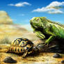 Iguana and Turtle