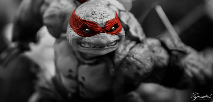 Raph Squad BW