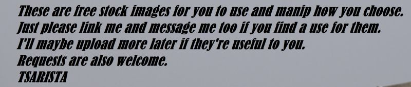 stock Text