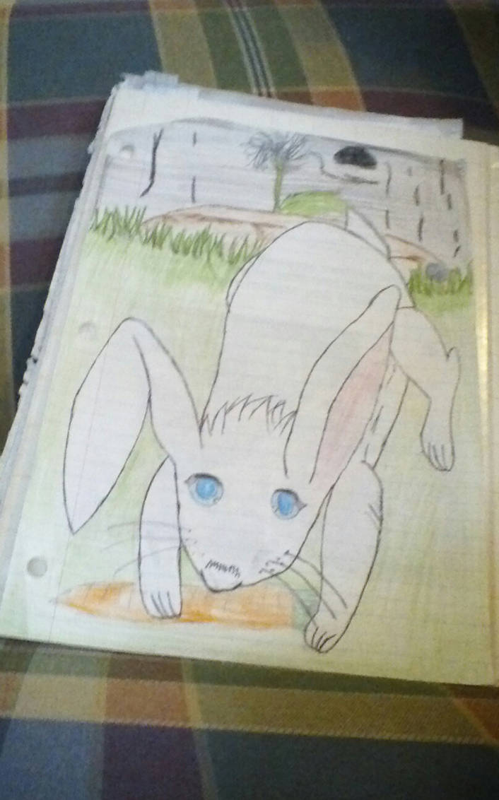 Floppy The Bunny Rabbit by TheEmoAye-Aye on DeviantArt