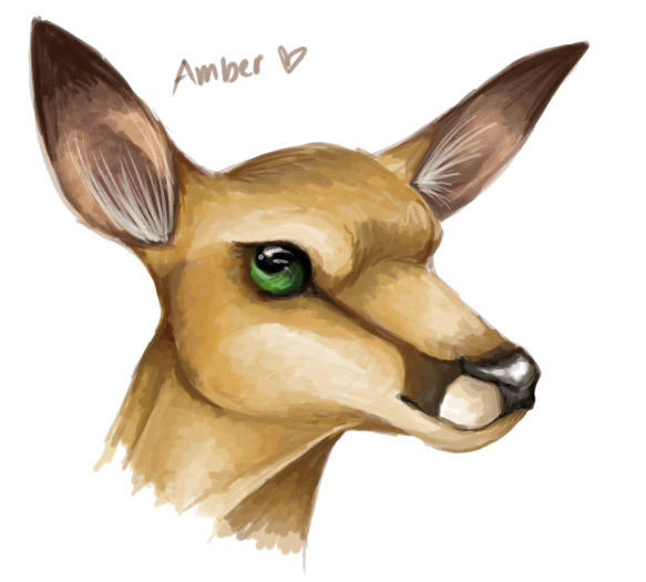 Amber by Ronto on DeviantArt