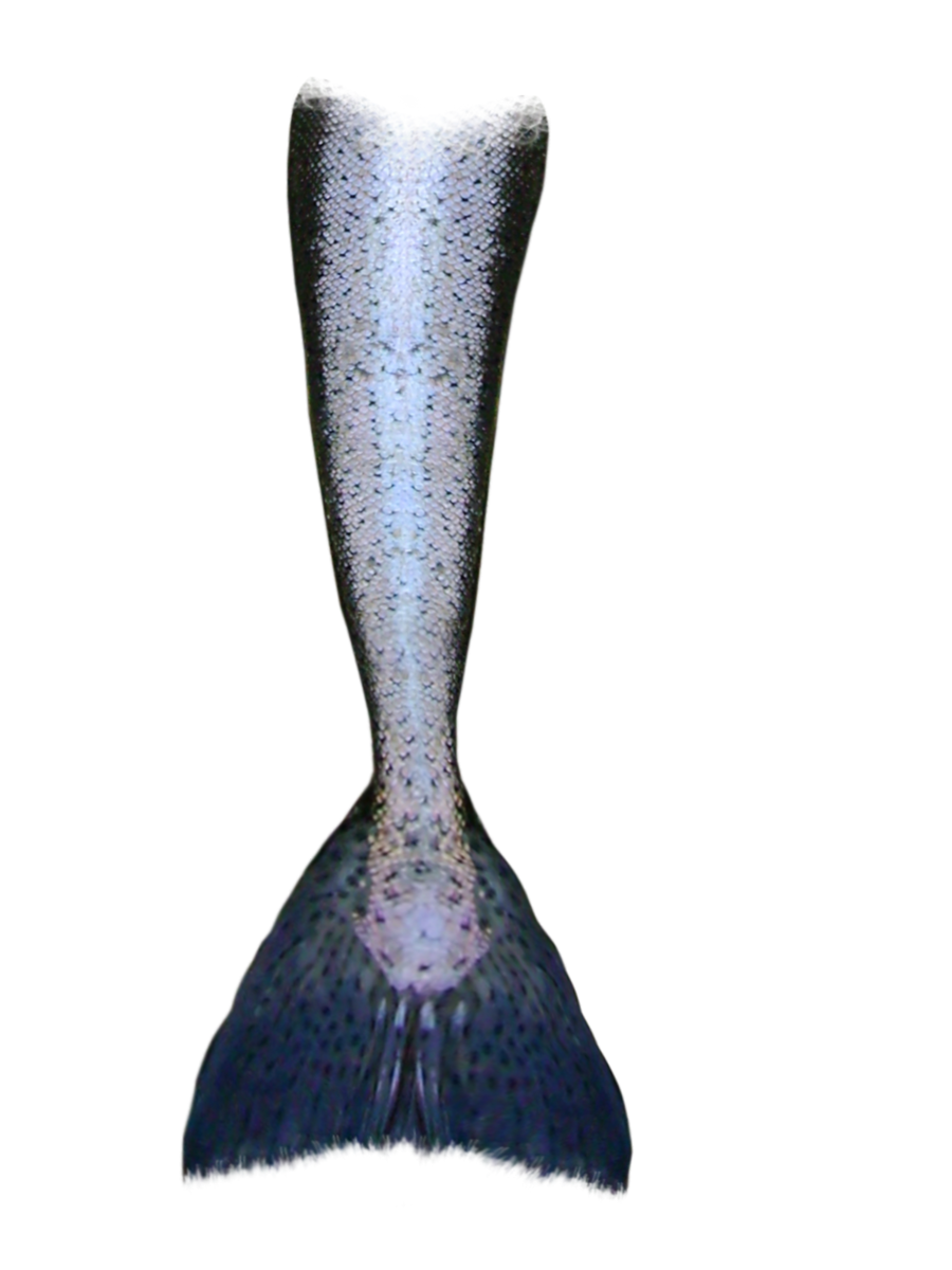mermaid tail part 3
