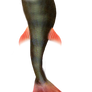 mermaid tail part 4