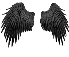 black angel wings