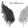 ANGEL_wings 001