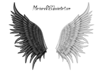 ANGEL_wings 001