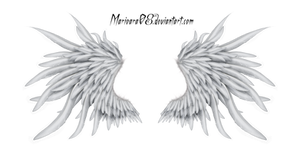 angel wings 03
