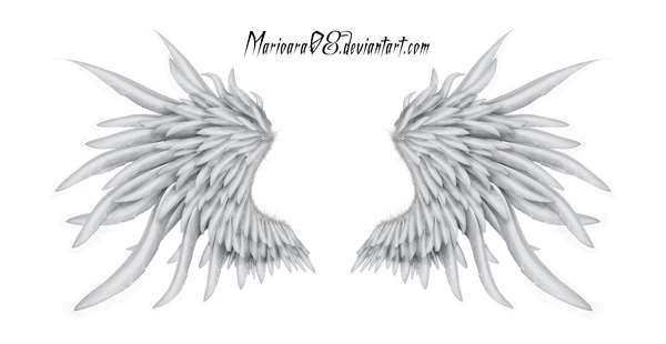 angel wings 03