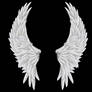 angel wings 04