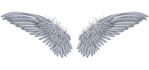 wings 5