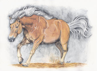 Haflinger watercolor