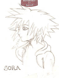 Sora