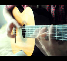 .: Acoustic :.