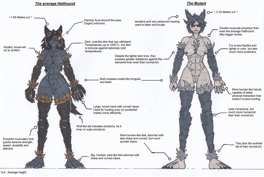 Hellhound Types Hellhound Species Comparison. by Rigidsttructure on DeviantArt