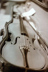 One-stringed Violin.