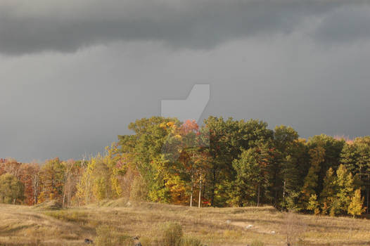 Sun Under Clouds