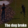 [TS3] The dog is broken