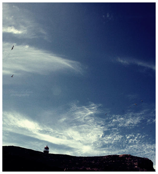 farol - ilha da berlenga