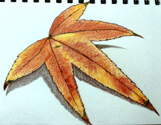 red leaf