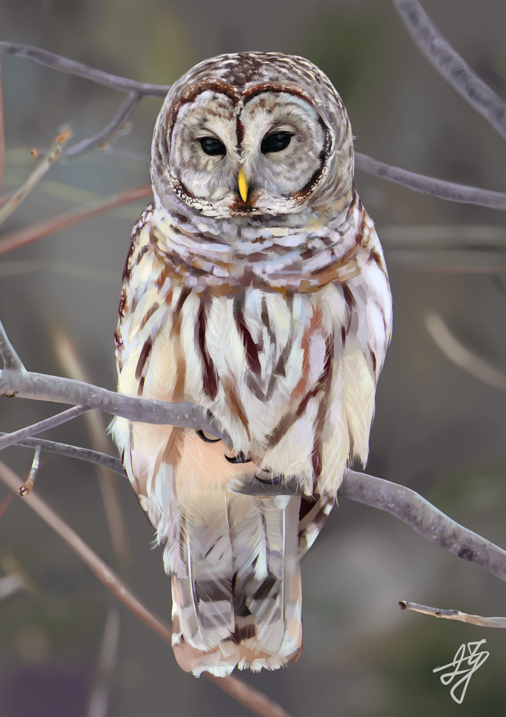 Owl