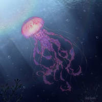Jellyfish by Sn0wzn