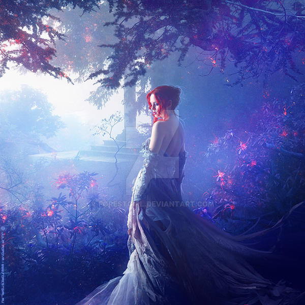 Stars forever by ForestGirl Stars forever by ForestGirl