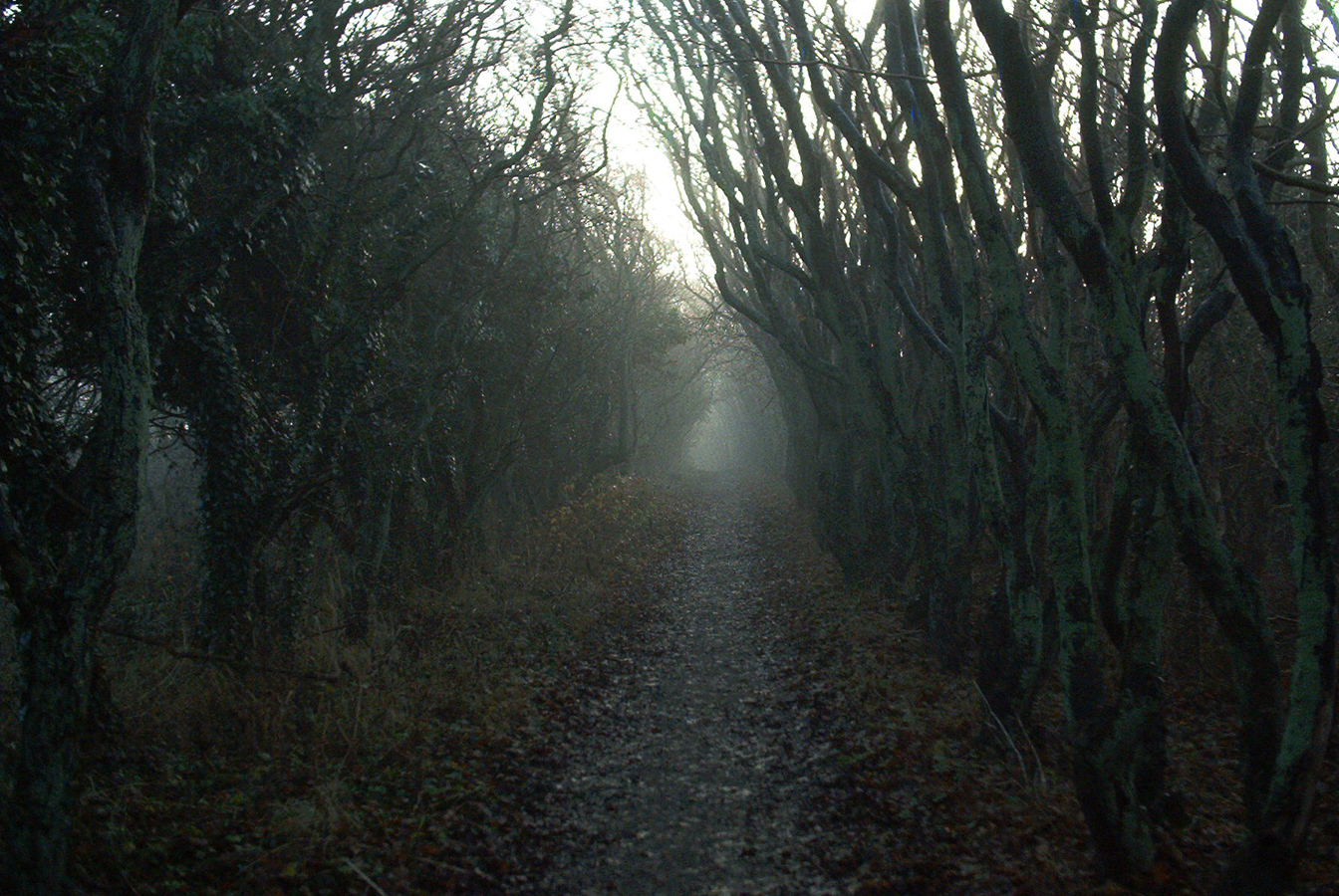 STOCK Foggy tunnel