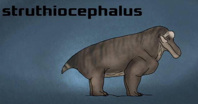 Struthious Struthiocephalus by Benja737 on DeviantArt
