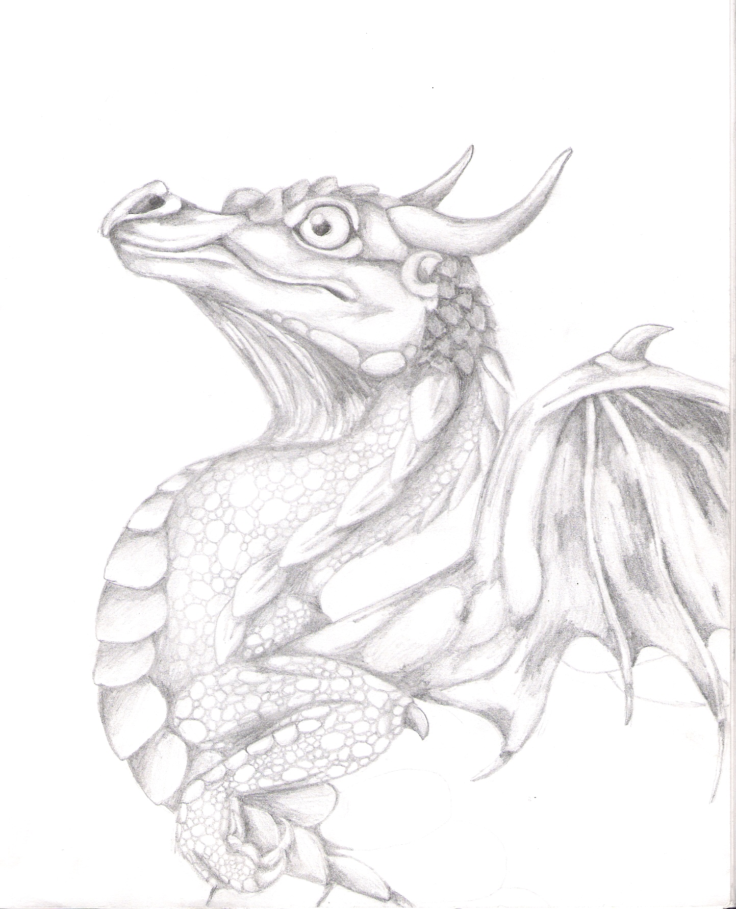 Dragon1