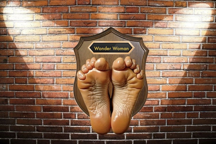 Wonder Woman Library Display The Wonder Woman Display by JoJofan97 on DeviantArt