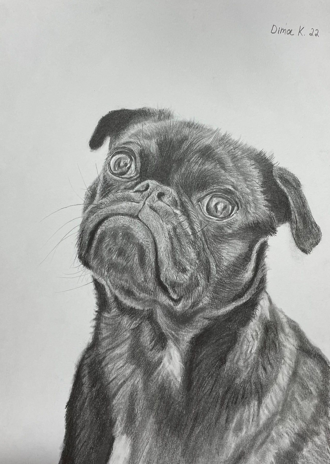 Pug drawing by NatanD85 on DeviantArt