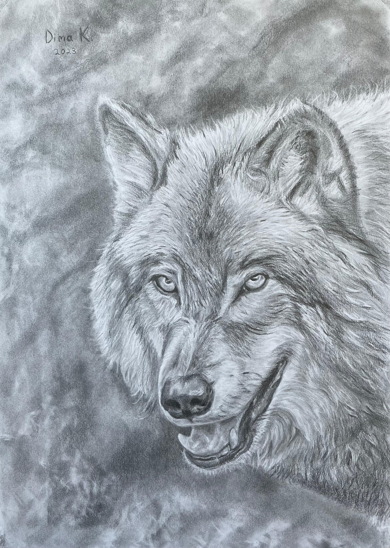 Wolf Graphite Drawing By NatanD85 On DeviantArt wolf-graphite-drawing-by-natand85-on-deviantart