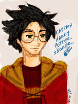 Captain Harry Potter Seeker