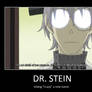 Dr. Stein