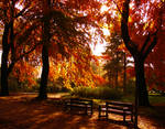 peaceful place by rockmylife