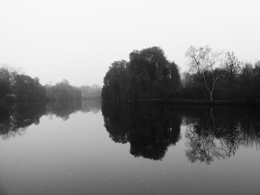 landscape in mirror