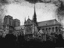 Notre Dame Paris I