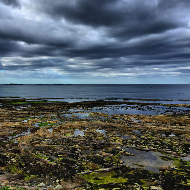 Seahouses Shore