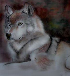 Spirit of the Gray Wolf