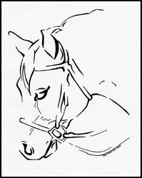 horse series - line