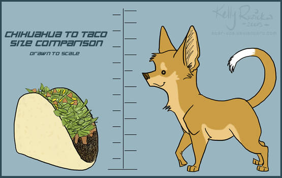 Chihuahua and taco