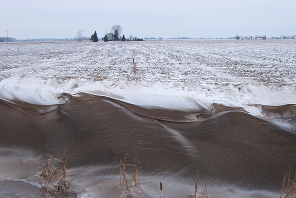 Winter Field